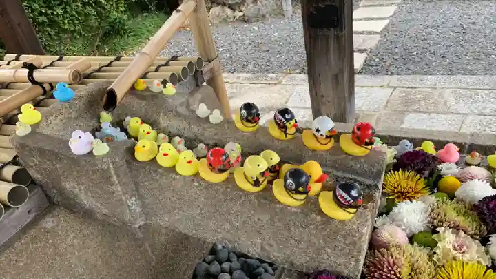 くろ谷 金戒光明寺(京都府)