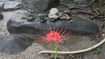 全興寺(大阪府)