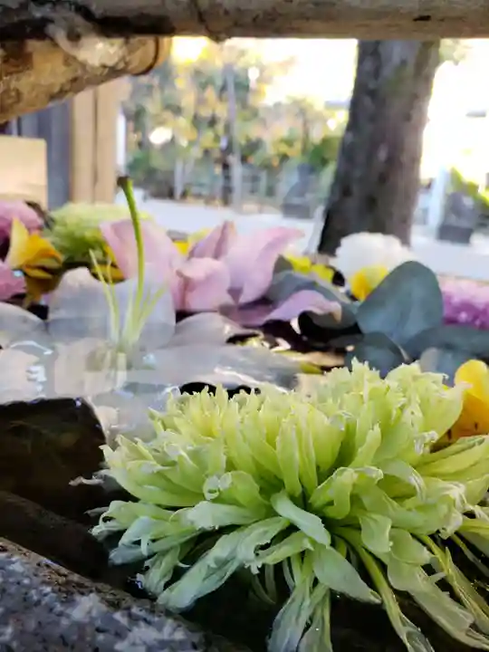 鳩森八幡神社の手水舎