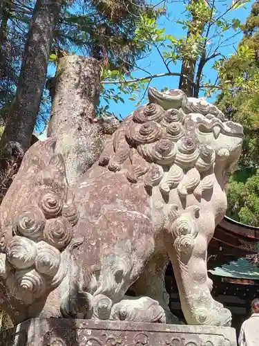 岡崎神社の狛犬