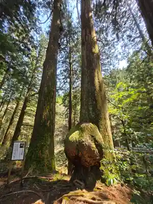 花園神社(茨城県)