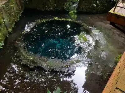 貴船神社(静岡県)