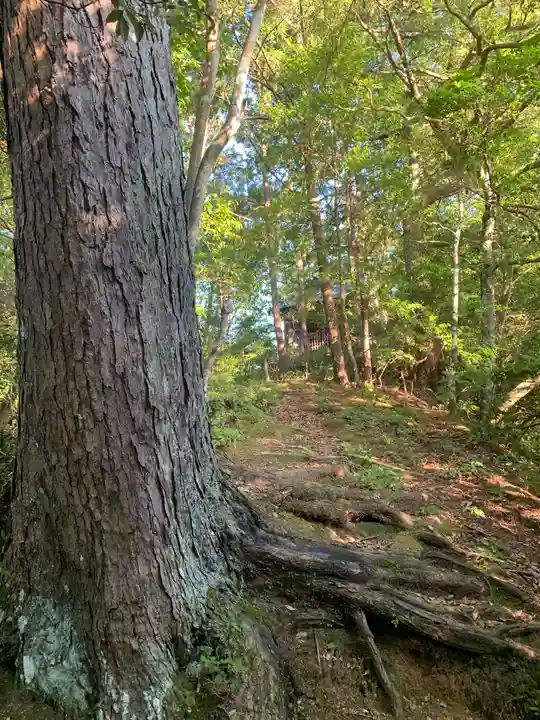 山神社の自然