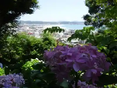 長谷寺のその他建物