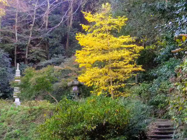 安國論寺(安国論寺)の自然
