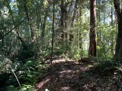 八幡神社(千葉県)
