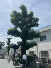 泉井上神社(大阪府)