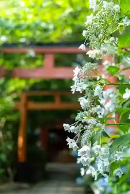平野神社(京都府)