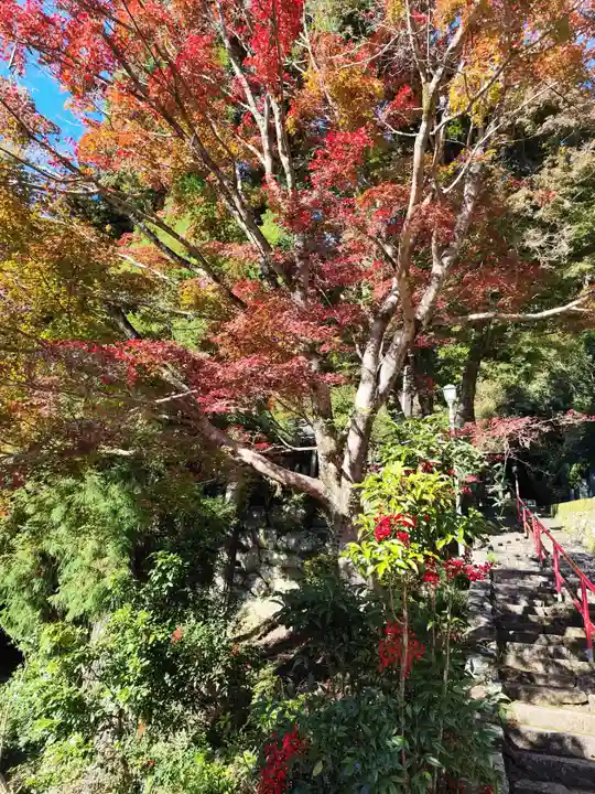神峯寺(高知県)
