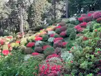 七国山薬王寺(東京都)