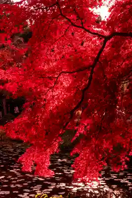 大原野神社(京都府)