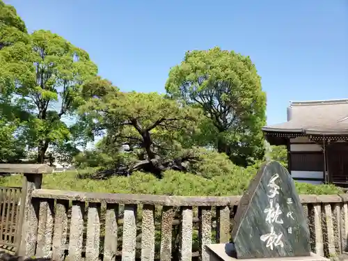 住吉神社の自然