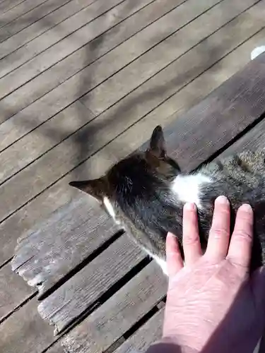 王禅寺(神奈川県)