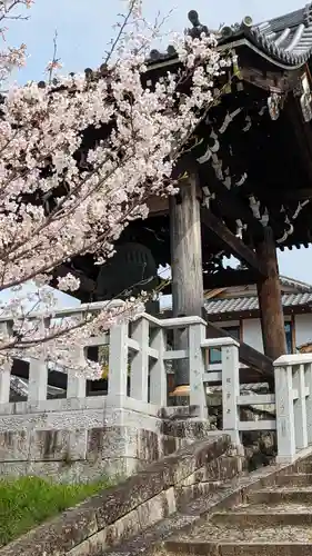 くろ谷 金戒光明寺(京都府)