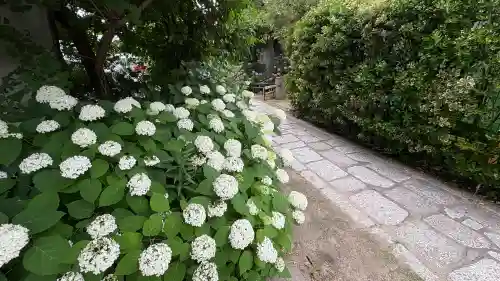 檀王法林寺（栴檀王院無上法林寺）(京都府)