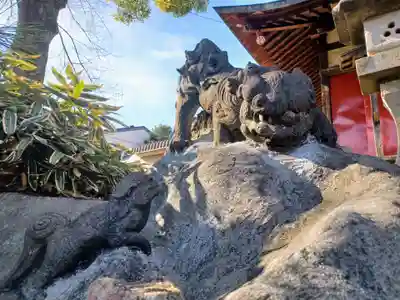 宿氷川神社の狛犬