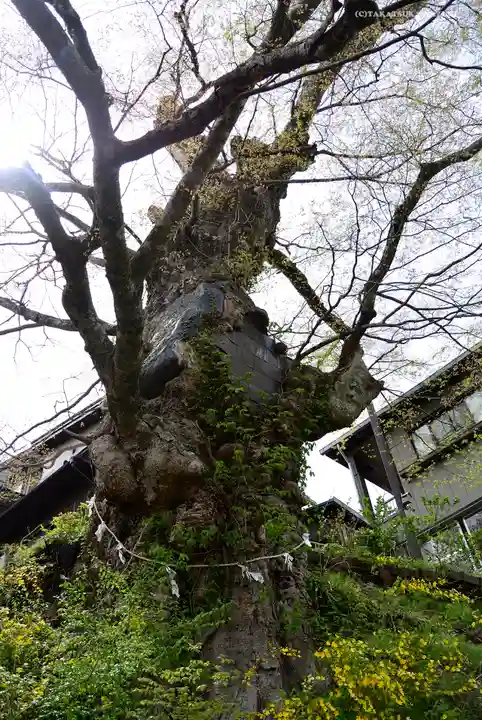 武蔵御嶽神社のその他建物