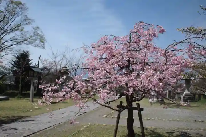 山梨縣護國神社の自然