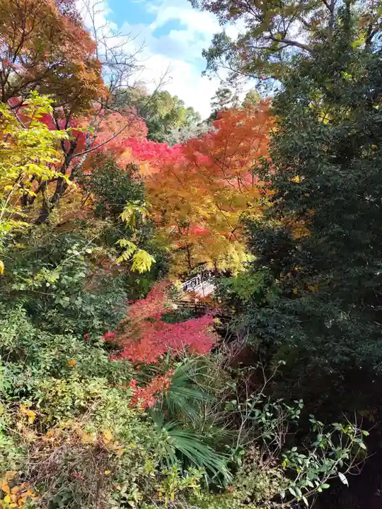 根来寺(和歌山県)
