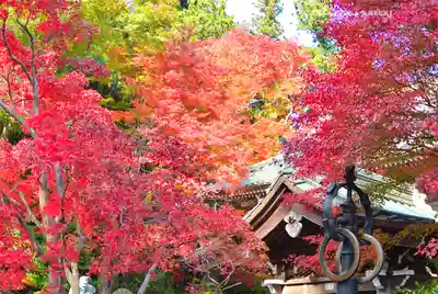 高尾山薬王院(東京都)