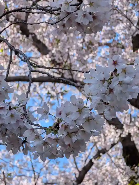 福蔵院(東京都)
