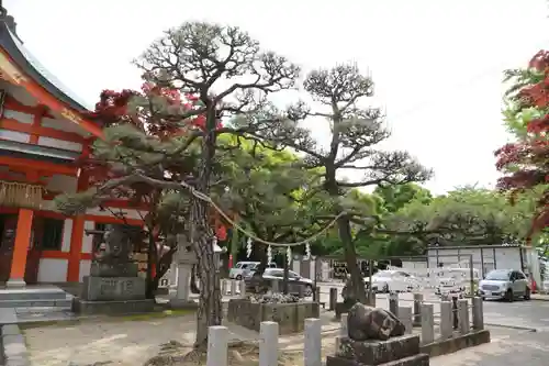 紅葉八幡宮(福岡県)