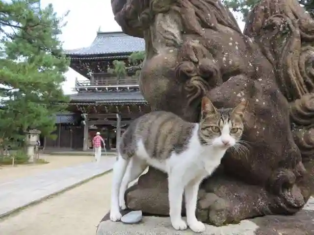 智恩寺(京都府)