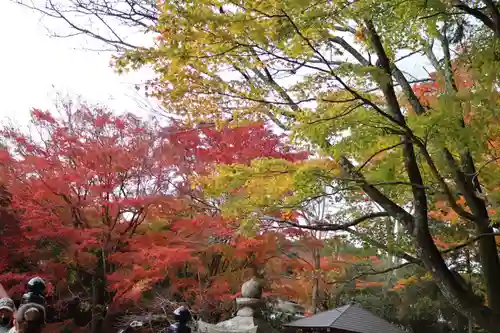 丹生都比売神社(和歌山県)