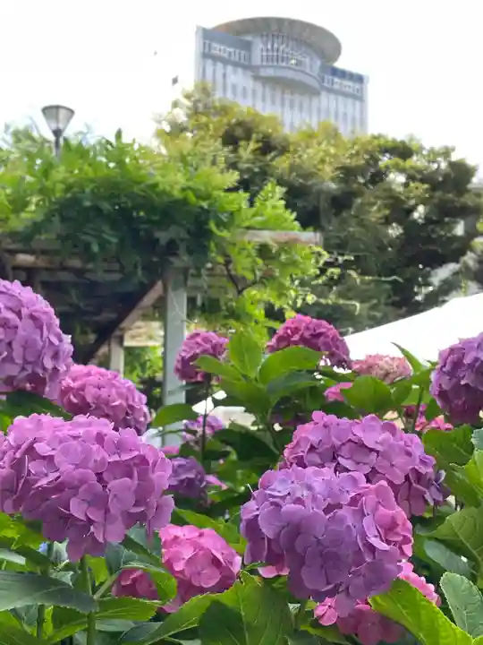 白山神社(東京都)