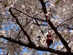 秋葉神社の自然