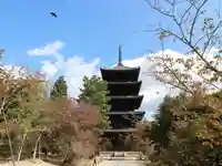 仁和寺の塔
