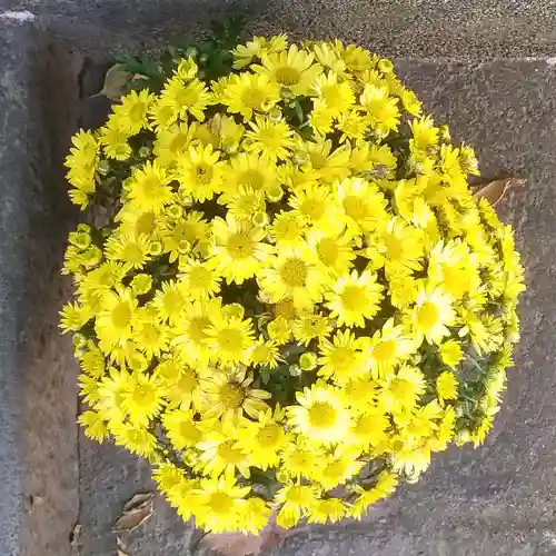 牛天神北野神社の自然