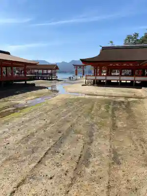 厳島神社の{uncategorized: "未分類", other: "その他", undefined: "問題あり", building: "その他建物", grave: "お墓", sacred_gate: "鳥居", guardian: "狛犬", statue: "像", buddha: "仏像", history: "歴史", nature: "自然", garden: "庭園", animal: "動物", pagoda: "塔", temizu: "手水舎", mountain_gate: "山門・神門", sanctuary: "本殿・本堂", subordinate: "末社・摂社", art: "芸術", scenery: "景色", jizo: "地蔵", ema: "絵馬", goshuin: "御朱印", omikuji: "おみくじ", items: "授与品その他", amulet: "お守り", goshuincho: "御朱印帳", eats: "食事", festival: "お祭り", votive_dance: "神楽", shichigosan: "七五三参", wedding: "結婚式", experience: "体験その他", initially: "初詣", around: "周辺", anti_infection: "感染症対策"}