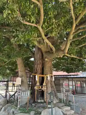 嶺白山神社(東京都)