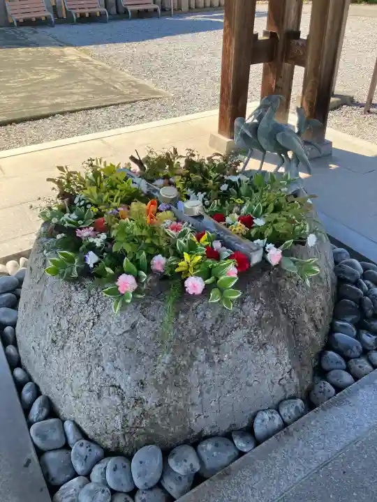 白鷺神社の{uncategorized: "未分類", other: "その他", undefined: "問題あり", building: "その他建物", grave: "お墓", sacred_gate: "鳥居", guardian: "狛犬", statue: "像", buddha: "仏像", history: "歴史", nature: "自然", garden: "庭園", animal: "動物", pagoda: "塔", temizu: "手水舎", mountain_gate: "山門・神門", sanctuary: "本殿・本堂", subordinate: "末社・摂社", art: "芸術", scenery: "景色", jizo: "地蔵", ema: "絵馬", goshuin: "御朱印", omikuji: "おみくじ", items: "授与品その他", amulet: "お守り", goshuincho: "御朱印帳", eats: "食事", festival: "お祭り", votive_dance: "神楽", shichigosan: "七五三参", wedding: "結婚式", experience: "体験その他", initially: "初詣", around: "周辺", anti_infection: "感染症対策"}