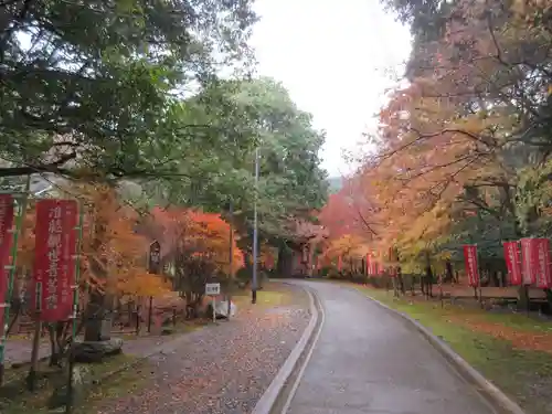 醍醐寺（上醍醐）(京都府)