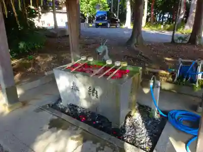 八坂神社(滋賀県)