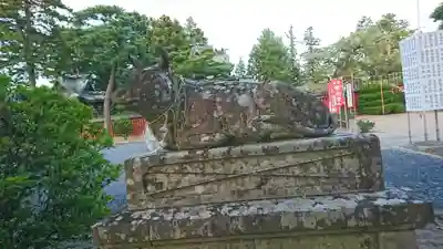荒雄神社の狛犬