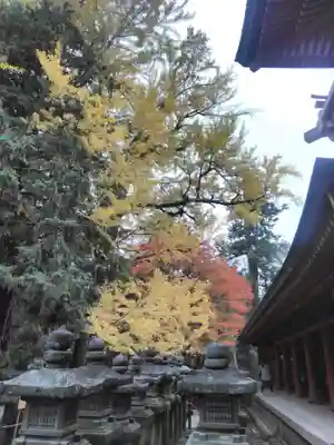 春日大社のその他建物