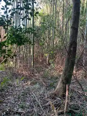 大歳神社の周辺