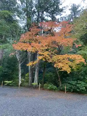 伊勢神宮内宮（皇大神宮）(三重県)