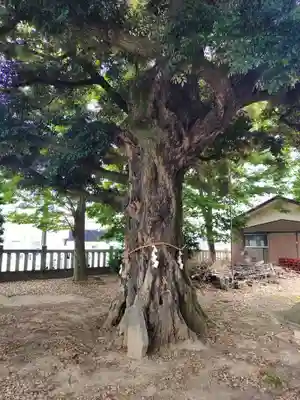 宗道神社(茨城県)