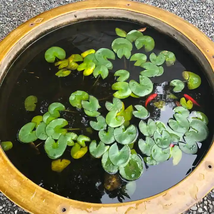 阿佐ヶ谷神明宮の庭園