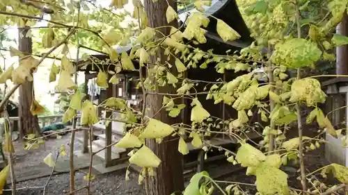 水使神社の自然