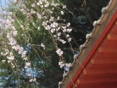 相頓寺(埼玉県)