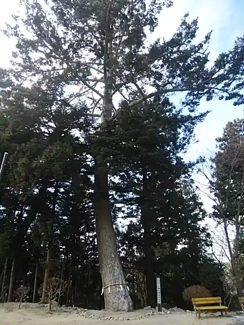 三春大神宮の自然