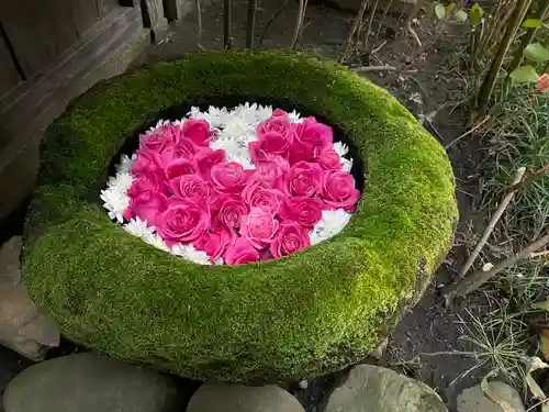 菅生神社の手水舎