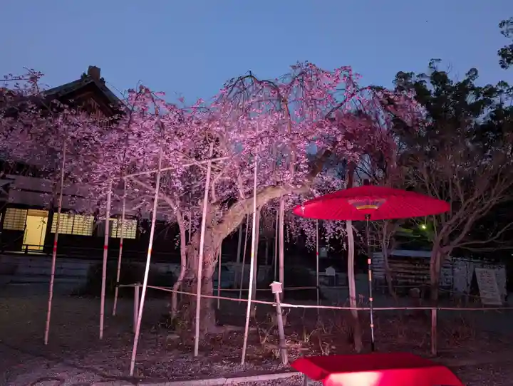 水無瀬神宮(大阪府)