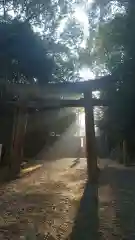 安仁神社の鳥居