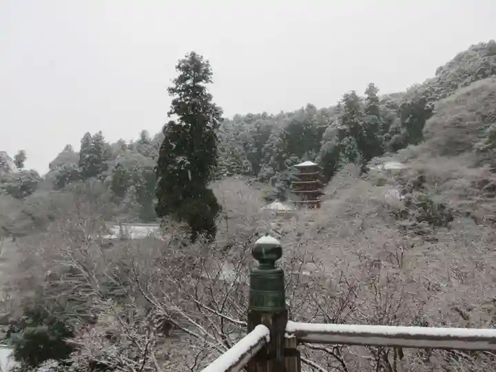 長谷寺(奈良県)